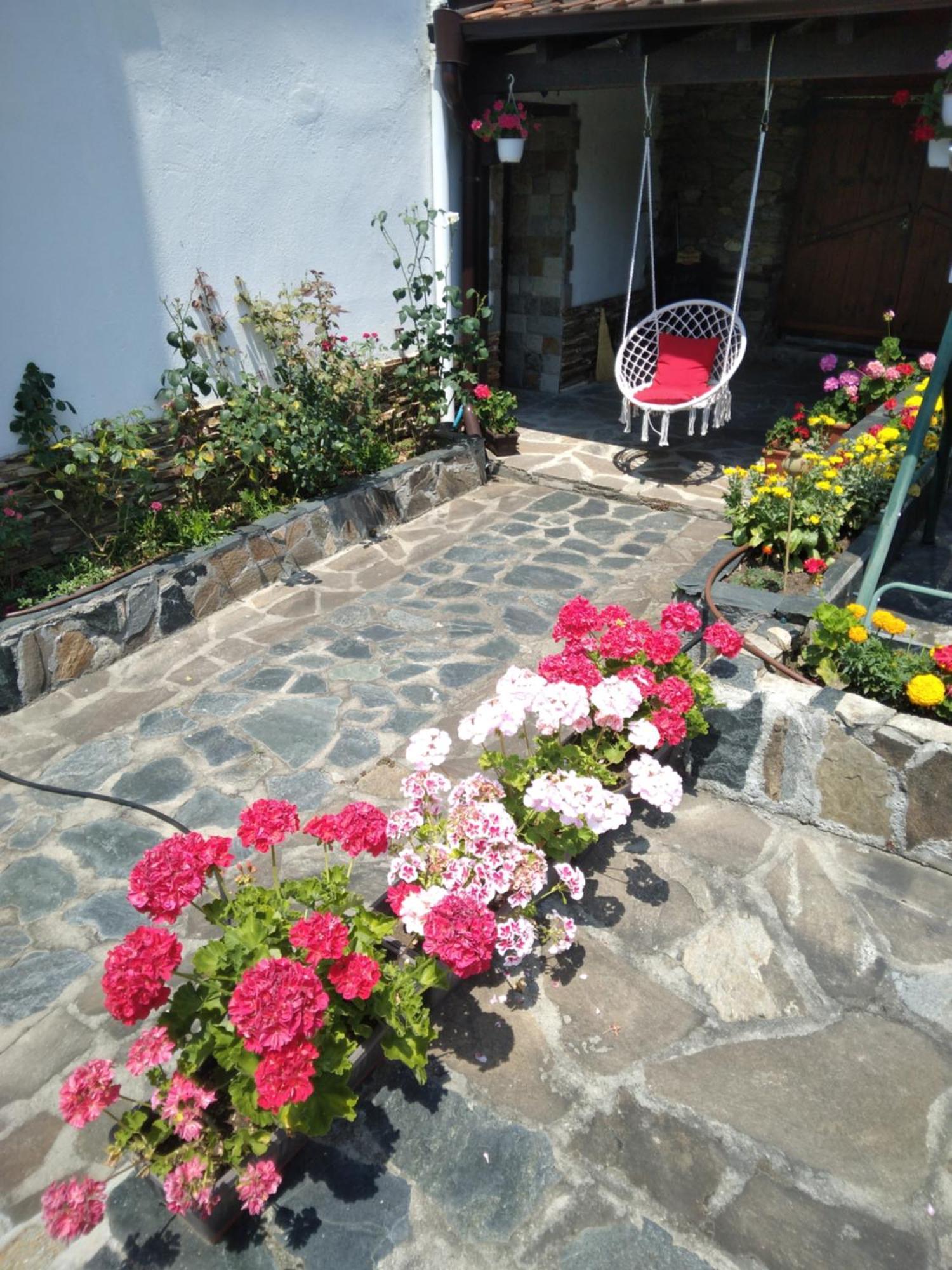 Guest House Popov Marchevo Екстер'єр фото